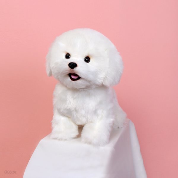 위더펫 리얼 강아지 인형 비숑 프리제