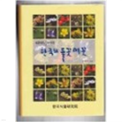 한국의 들꽃 메꽃 (한국자생식물백과도감)