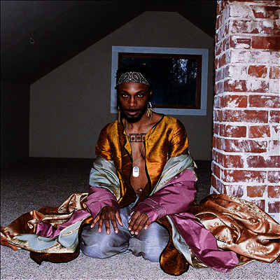 Jpegmafia — All My Heroes Are Cornballs 앨범 커버