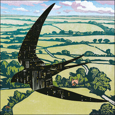 Bibio (비비오) - Sleep On The Wing [LP]
