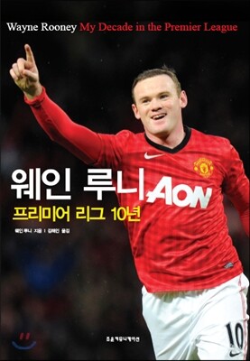 웨인 루니, 프리미어리그 10년