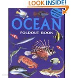 Ocean (Foldout Books Series) [Hardcover]