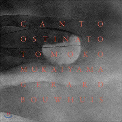 Tomoko Mukaiyama — Tomoko Mukaiyama 시메온 텐 홀트: 칸토 오스티나토 (Simeon ten Holt: Canto Ostinato) 앨범 커버