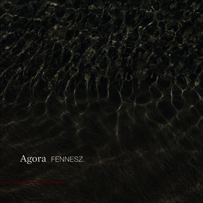 Fennesz — Agora 앨범 커버