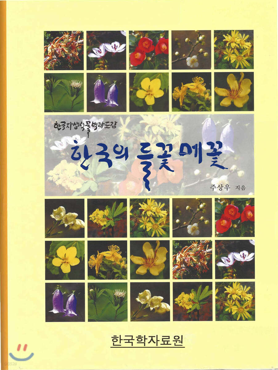 한국의 들꽃 메꽃 