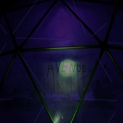 C Lavender — Myth Of Equilibrium 앨범 커버