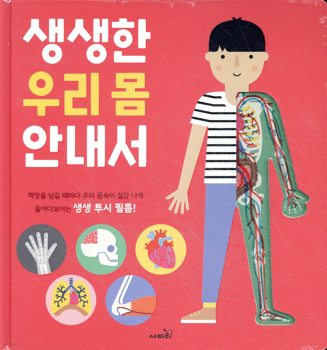 생생한 우리 몸 안내서