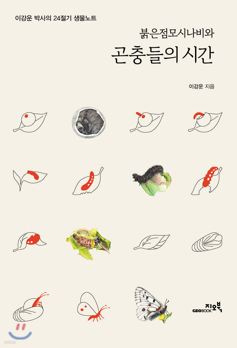 붉은점모시나비와 곤충들의 시간