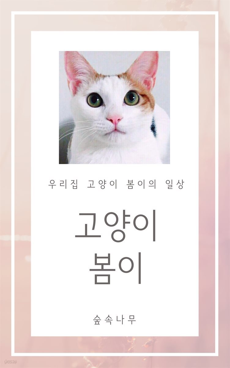 고양이 봄이