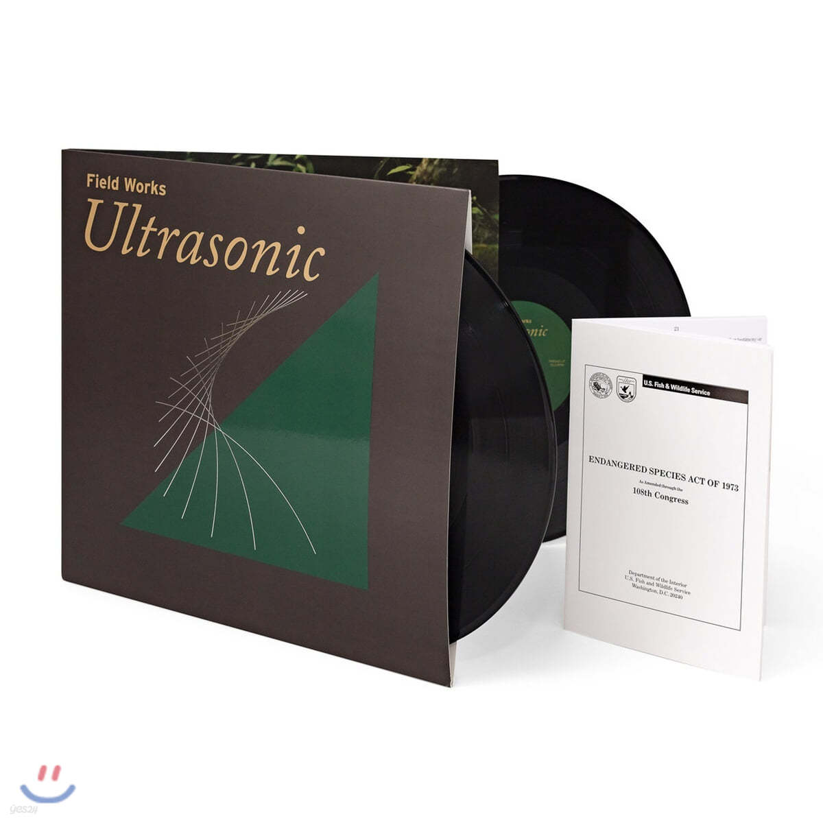 Field Works (필드 웍스) - Ultrasonic [2LP]