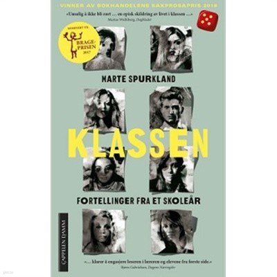 Klassen - fortellinger fra et skolear