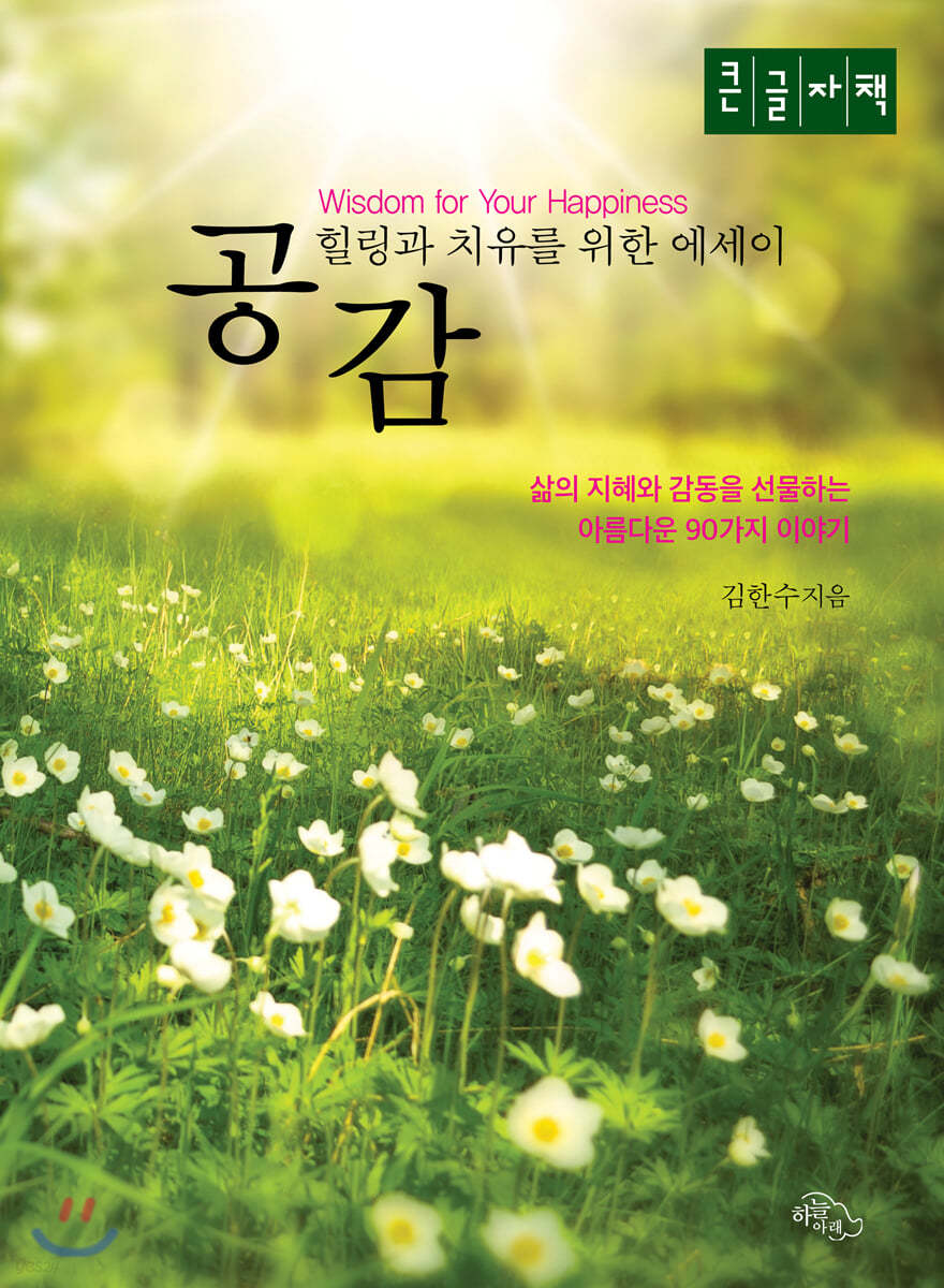 공감 (큰글자책)