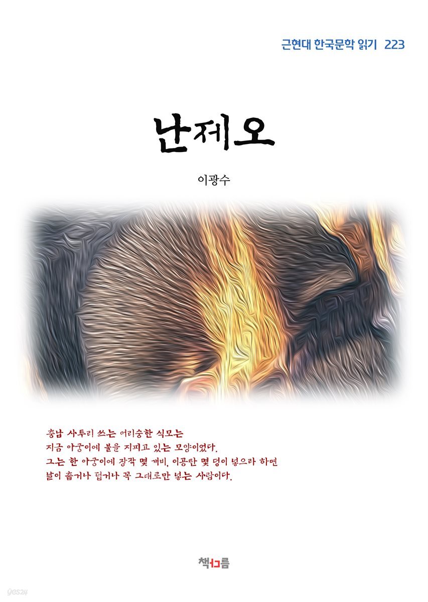 이광수 난제오 (근현대 한국문학 읽기 223)