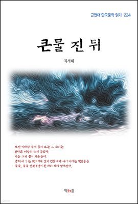 책 정보