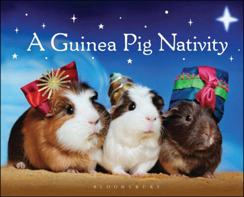 A Guinea Pig Nativity