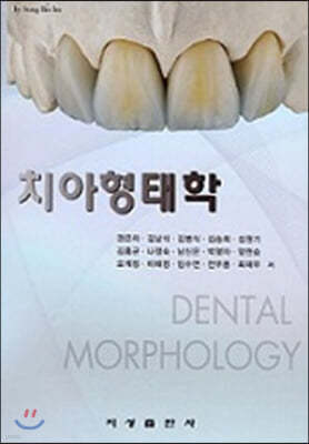 치아형태학