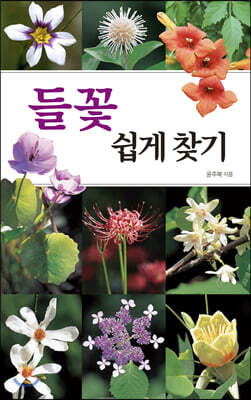 들꽃 쉽게 찾기