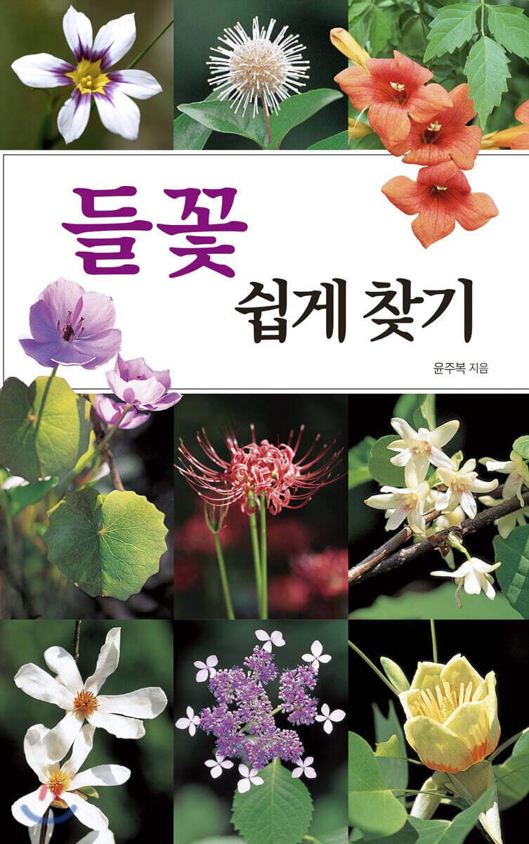 들꽃 쉽게 찾기