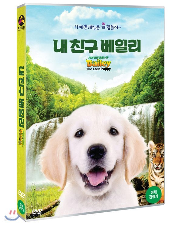 내 친구 베일리 (1Disc)