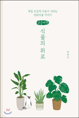식물의 위로 (큰글씨책)