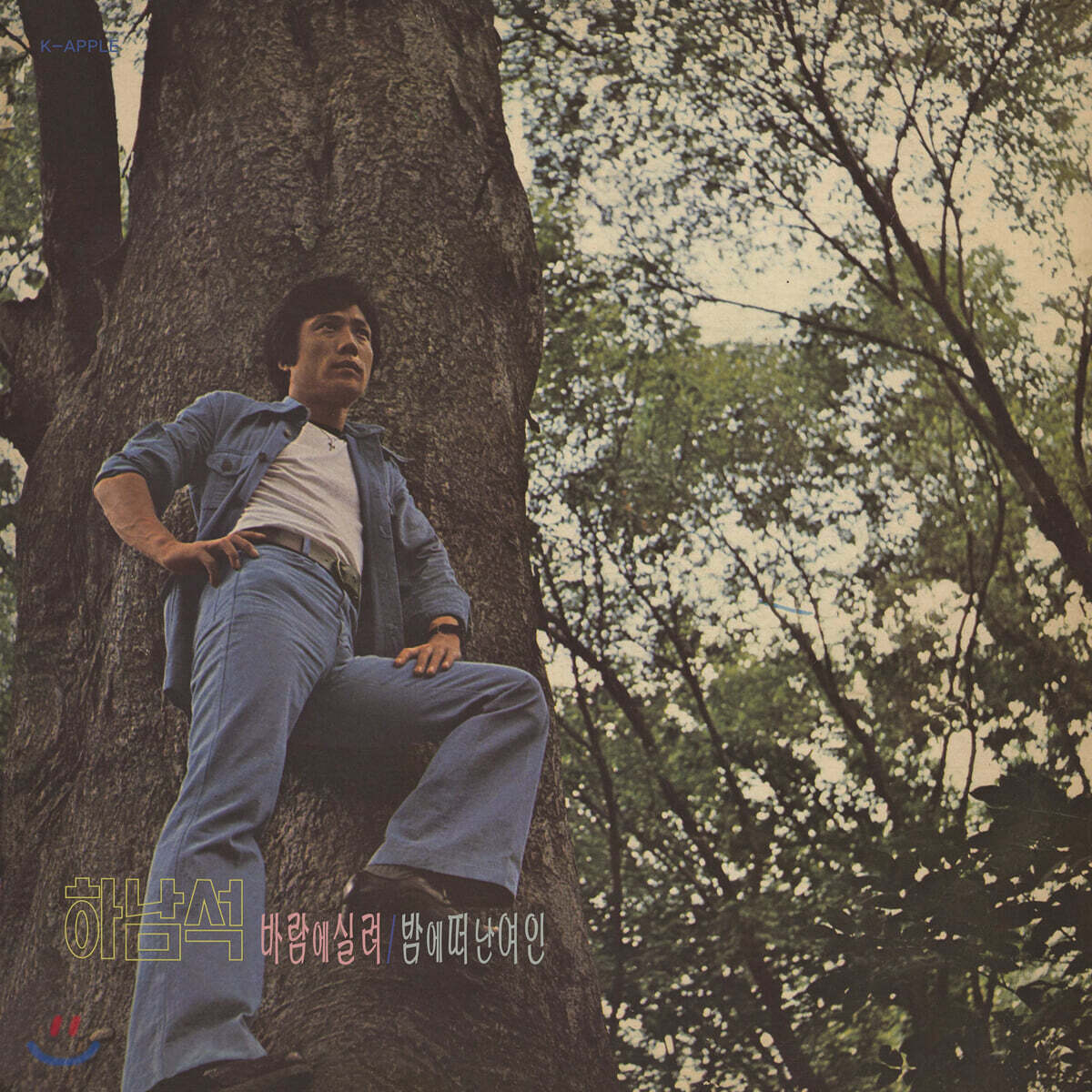 하남석 - 데뷔 앨범 바람에 실려 [LP]