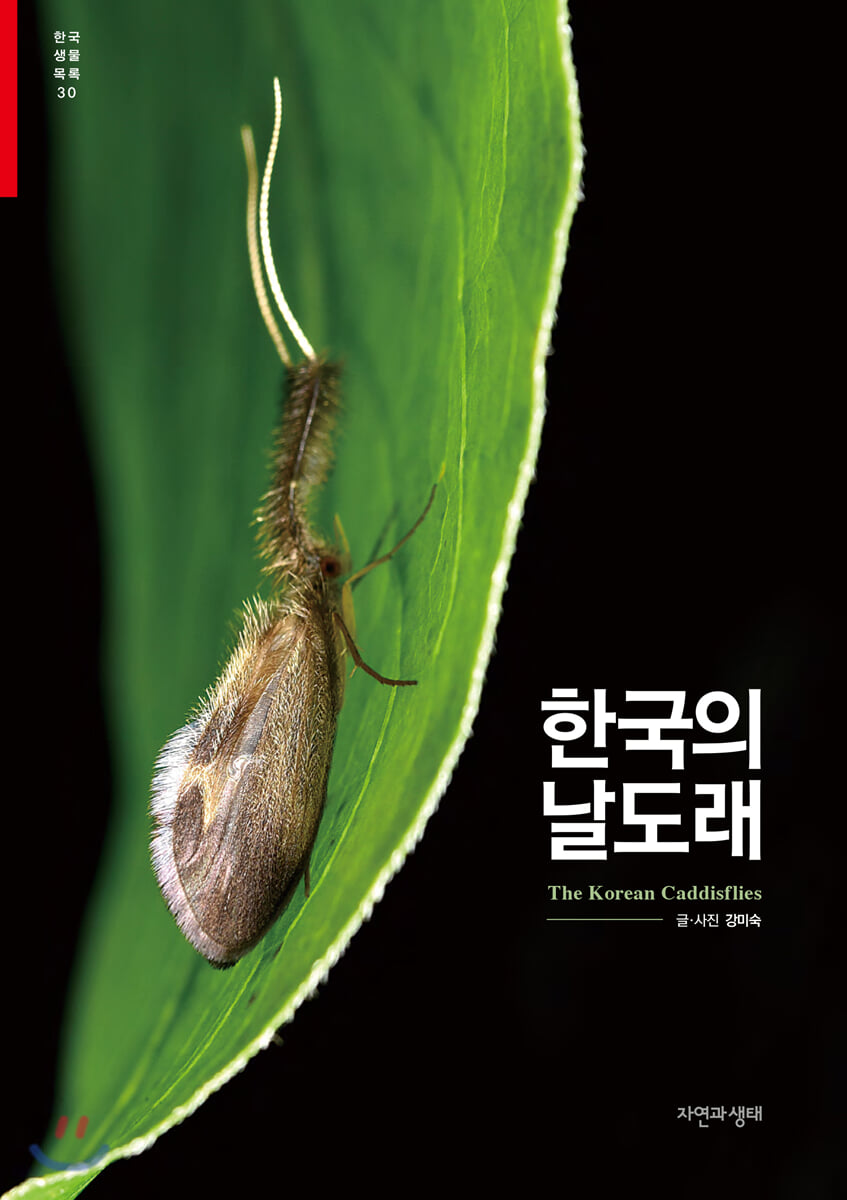 한국의 날도래