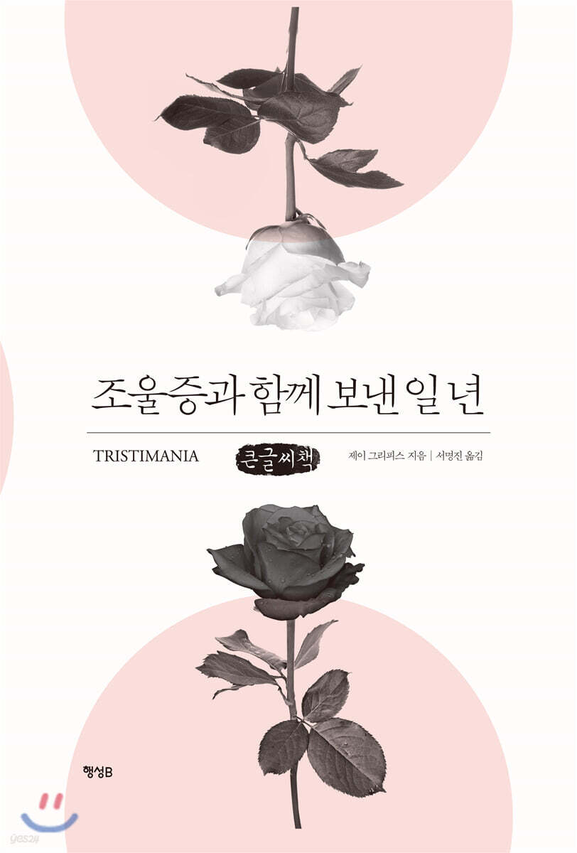 조울증과 함께 보낸 일 년 (큰글씨책)