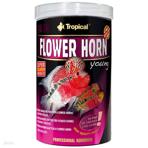 트로피칼 본사 - 플라워 혼 YOUNG tin 1000ml / 380g 무료배송