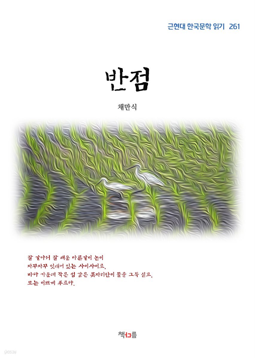 채만식 반점 (근현대 한국문학 읽기 261)