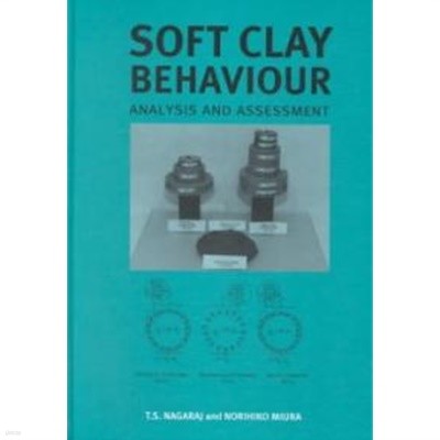 Soft Clay Behaviour Analysis & Assessmen