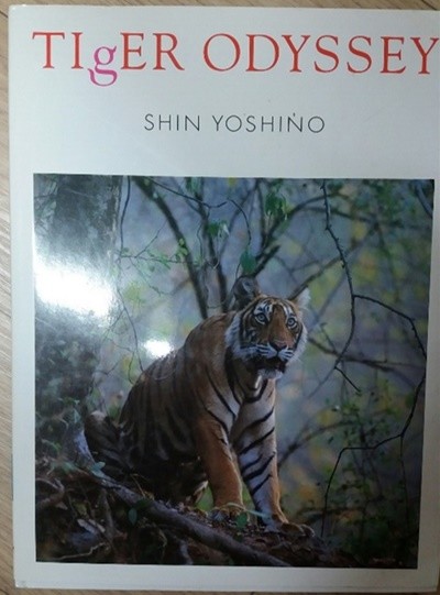 [일어판] TIGER ODYSSEY - SHIN YOSHINO