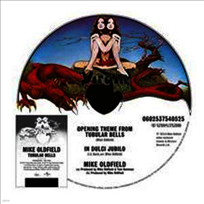 Mike Oldfield — Tubular Bells (Picture Disc)(Limited Edition) 앨범 커버
