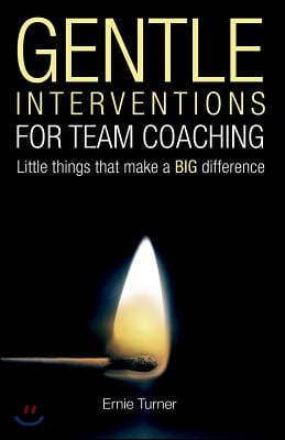Gentle Interventions for Team Coaching: Little things that make a BIG difference