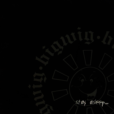 Bigwig — Stay Asleep 앨범 커버