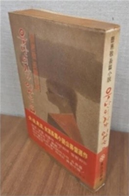 우단의자가 있는 읍 - 조혜경 장편소설 (1980 초판)