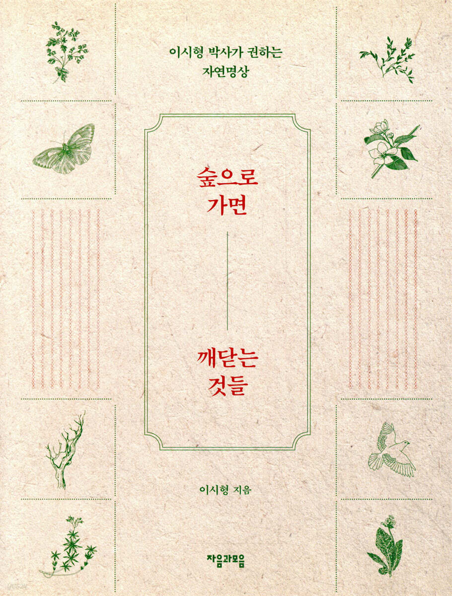 숲으로 가면 깨닫는 것들