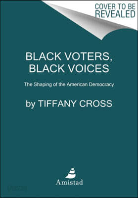 Say It Louder!: Black Voters, White Narratives, and Saving Our Democracy