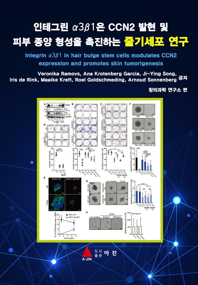 인테그린 α3β1은 CCN2 발현 및 피부 종양 형성을 촉진하는 줄기세포 연구