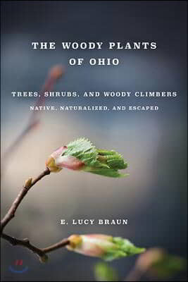 Woody Plants of Ohio: Trees, Shrubs, and Woody Climbers: Native, Naturalized, and Escaped