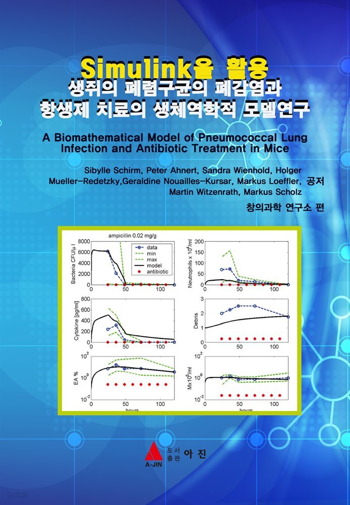 생쥐의 폐렴구균의 폐감염과 항생제 치료의 생체역학적 모델연구