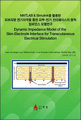 MATLAB & Simulink Ȱ  ڱ  Ǻ- ̽  Ǵ 𵨿(Dynamic Impedance Model of the Skin-E