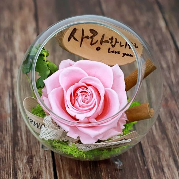 시들지않는 꽃 한송이 장미 유리병 프리저브드 드라이플라워 로즈데이 여자친구 꽃선물