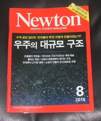 Newton 우주의 대규모 구조