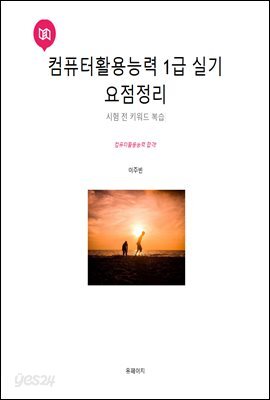 컴퓨터활용능력 실기 1급 요점정리