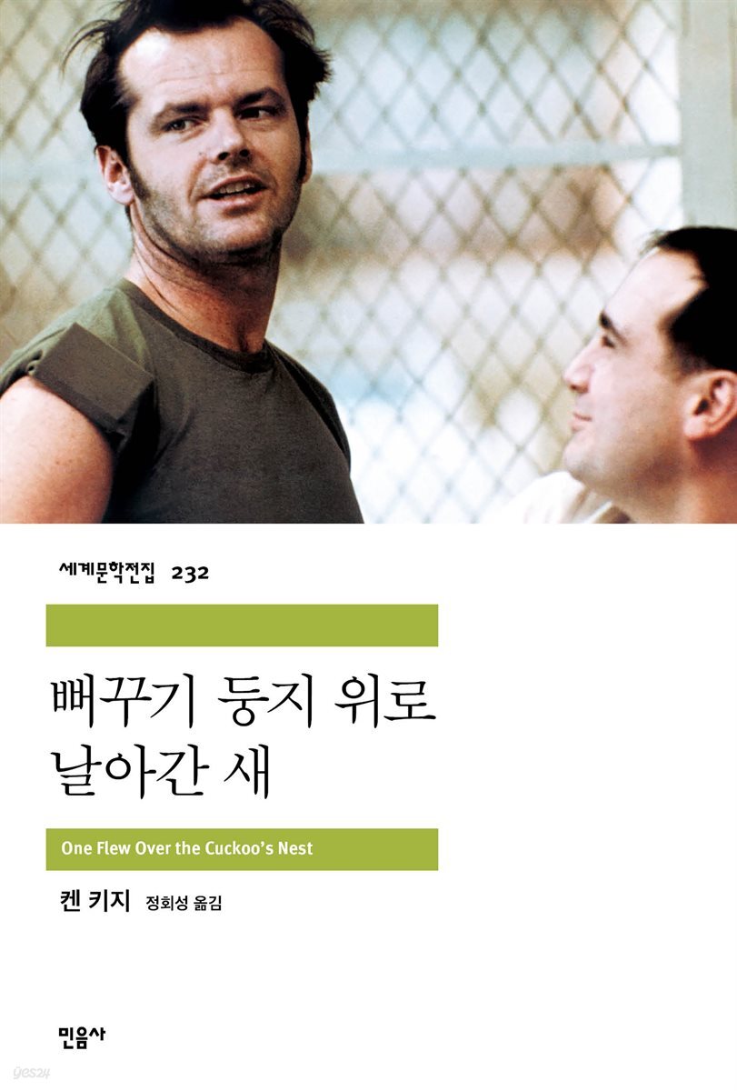 뻐꾸기 둥지 위로 날아간 새 - 세계문학전집 232
