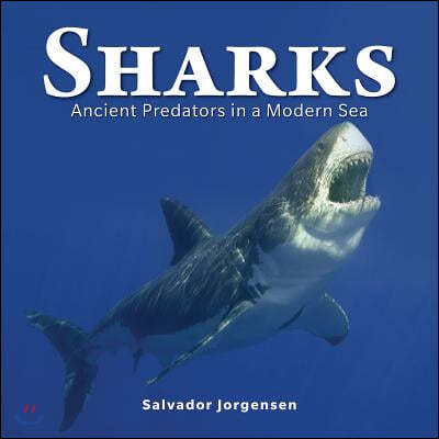 Sharks: Ancient Predators in a Modern Sea