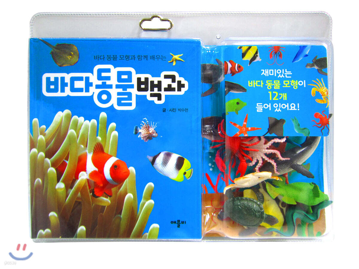 바다 동물 모형과 함께 배우는 바다동물백과