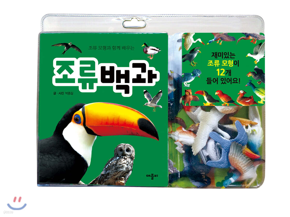 조류 모형과 함께 배우는 조류백과