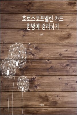 호로스코프벨린 카드 한방에 정리하기