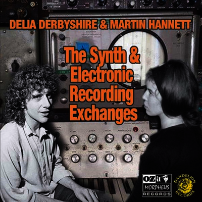 Delia Derbyshire & Martin Hannett — The Synth & Electronic Recording Exchanges 앨범 커버